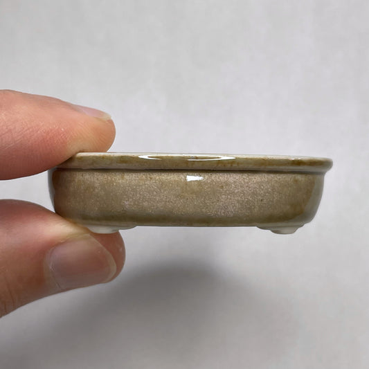 New! Tiny Oval Mame Bonsai Pot in Rosy Ash, About 2 inches wide