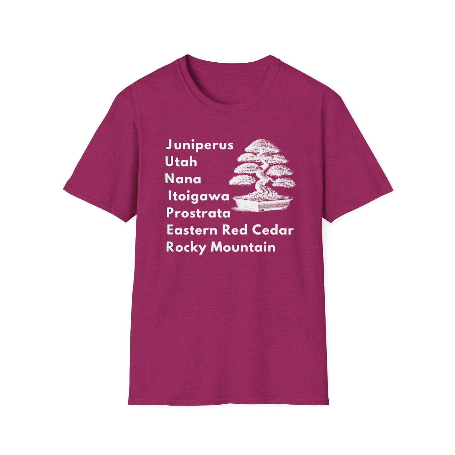 Tshirt: Juniper Bonsai Tree Varieties Tee, Juniperus Tree Types Softstyle T-Shirt, Bonsai Enthusiast Gift for Him, Bonsai Word Art Top, Itoigawa Tee