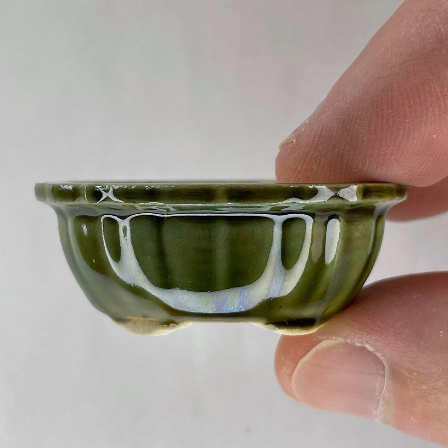 New! Tiny Scalloped Oval Mame Bonsai Pot in Pine Green, About 1.5 inches wide