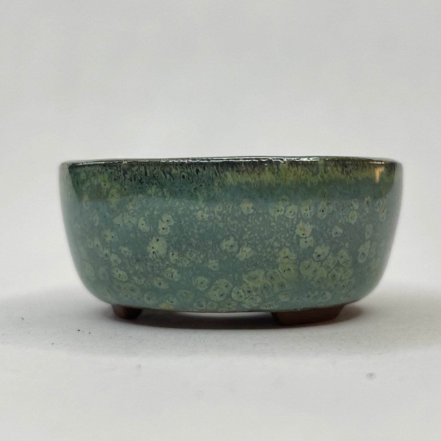 Tiny Round Mame Bonsai Pot in Chocolate Monstera Moss, Only 1.25 inches wide