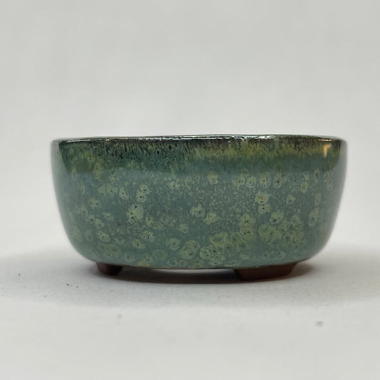 New! Tiny Round Mame Bonsai Pot in Chocolate Monstera Moss, Only 1.25 inches wide