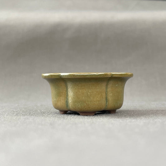 New! Tiny Flower-Shaped Mame Bonsai Pot in Matte Micro Jade, Less than 1.5 inches wide