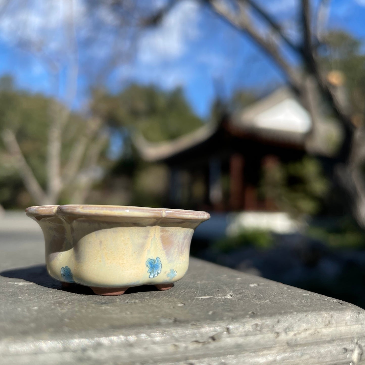 New! Tiny Flower-Shaped Mame Bonsai Pot in Chocolate Blue Snowflake, Less than 1.5 inches wide