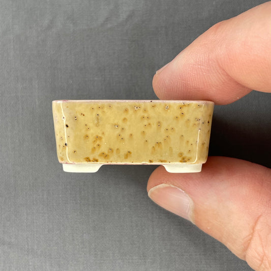 Tiny Square Mame Bonsai Pot in Cheetah, Less than 1.5 inches wide
