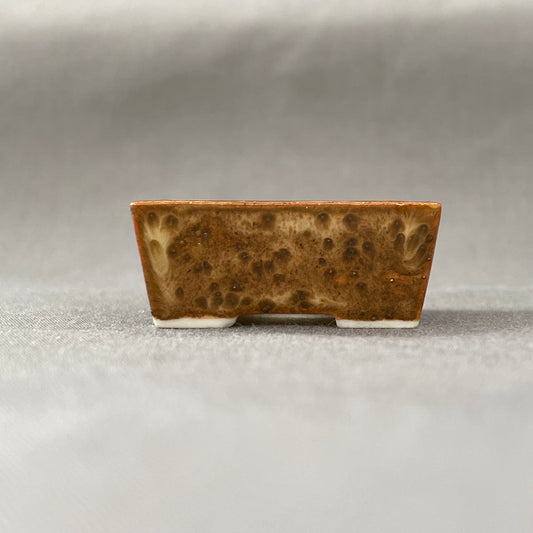 New! Tiny Rectangle Mame Bonsai Pot in Leopard, Less than 1.5 inches long