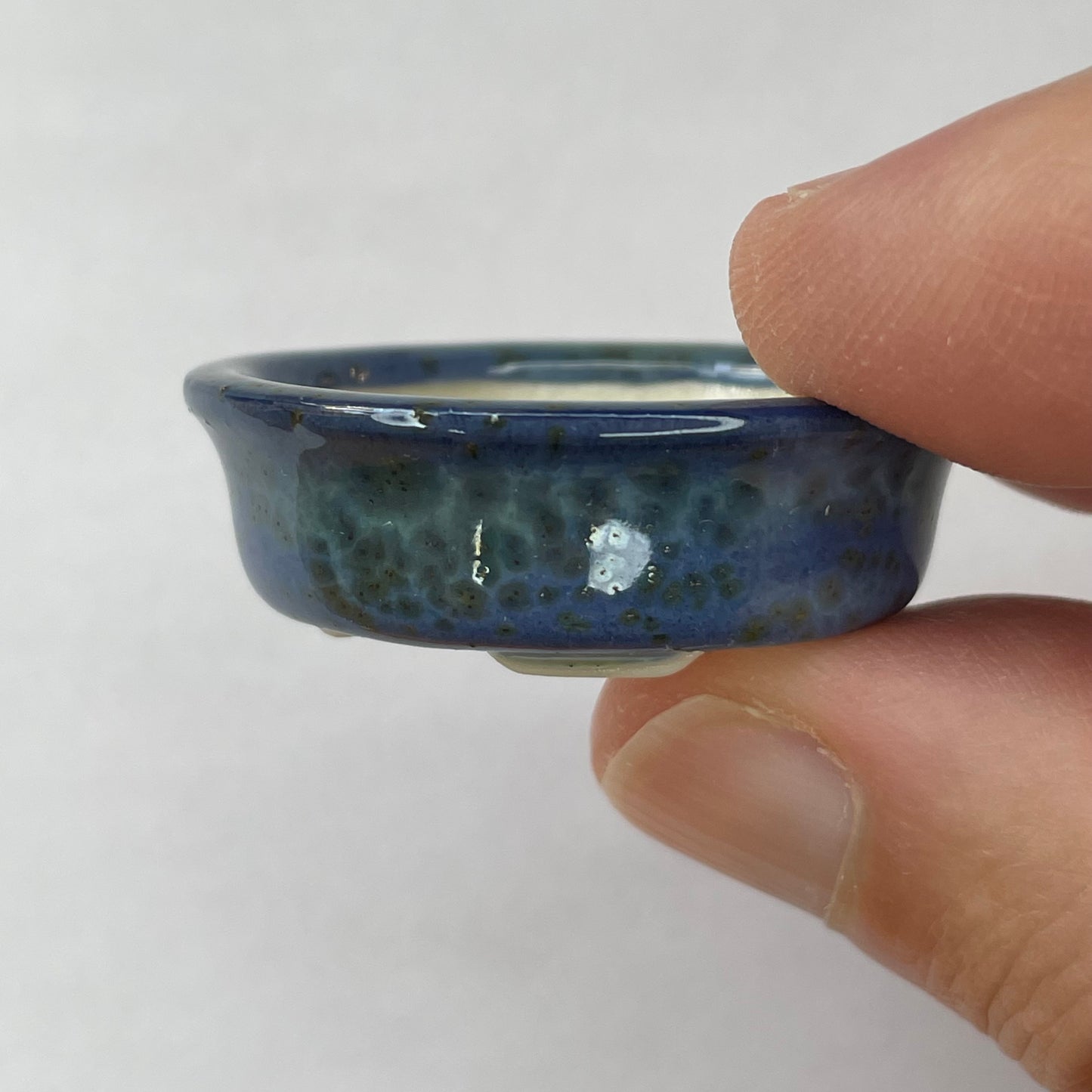 New! Tiny Oval Mame Bonsai Pot in Blue Monstera, Only 1.5 inches