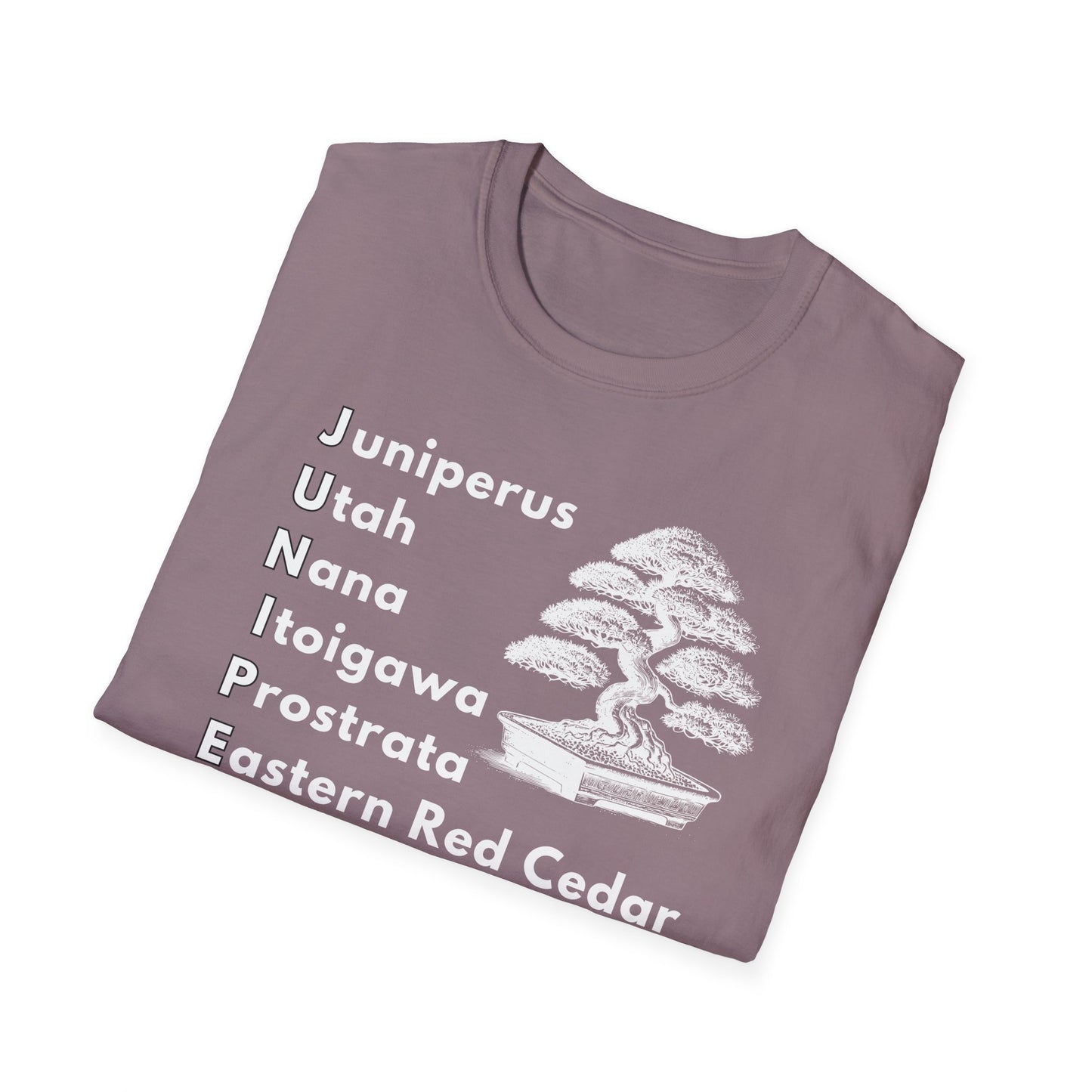 Tshirt: Juniper Bonsai Tree Varieties Tee, Juniperus Tree Types Softstyle T-Shirt, Bonsai Enthusiast Gift for Him, Bonsai Word Art Top, Itoigawa Tee