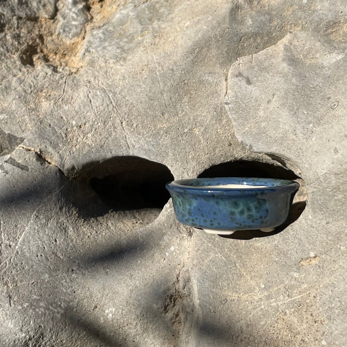 New! Tiny Oval Mame Bonsai Pot in Blue Monstera, Only 1.5 inches