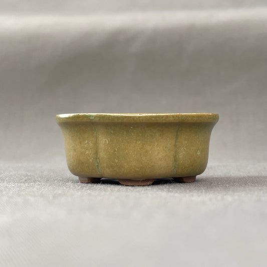 New! Tiny Flared Rounded Oval Mame Bonsai Pot in Matte Micro Jade, Less than 1.5 inches wide
