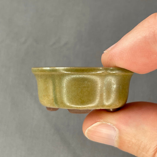 New! Tiny Flared Rounded Oval Mame Bonsai Pot in Matte Micro Jade, Less than 1.5 inches wide