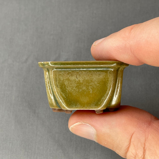 New! Tiny Square Mame Bonsai Pot in Matte Micro Jade, About 1.5 inches wide