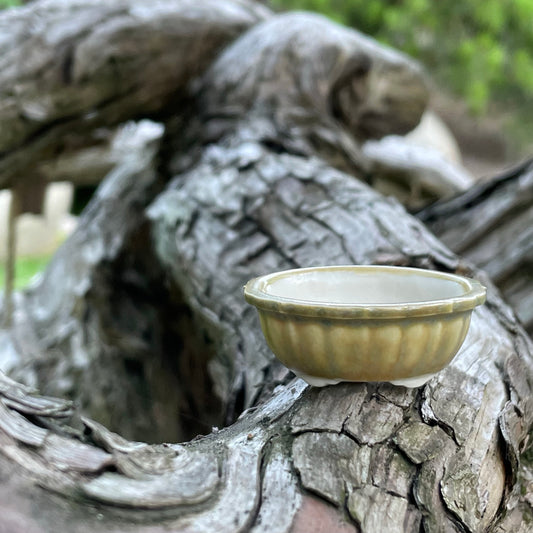 New! Tiny Scalloped Oval Mame Bonsai Pot in Matte Beach, About 1.5 inches wide
