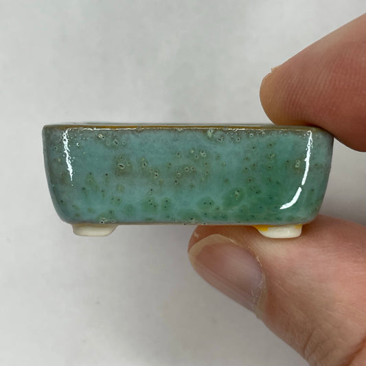 New! Tiny Rectangle Mame Bonsai Pot in Tropical Green, Less than 1.5 inches wide