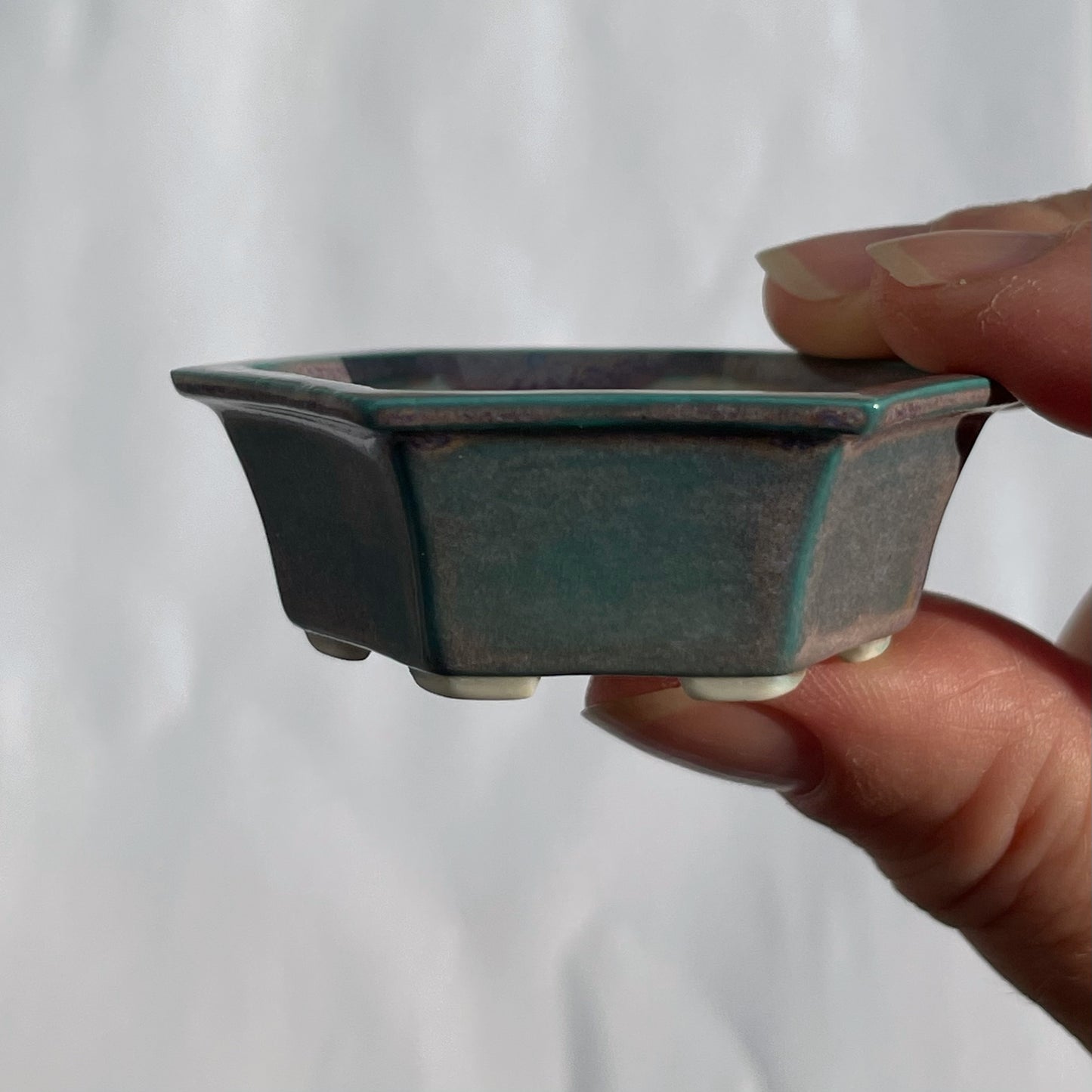 New! Tiny Hexagon Mame Bonsai Pot in Turquoise Purple Aster, Only 2.125 inches wide