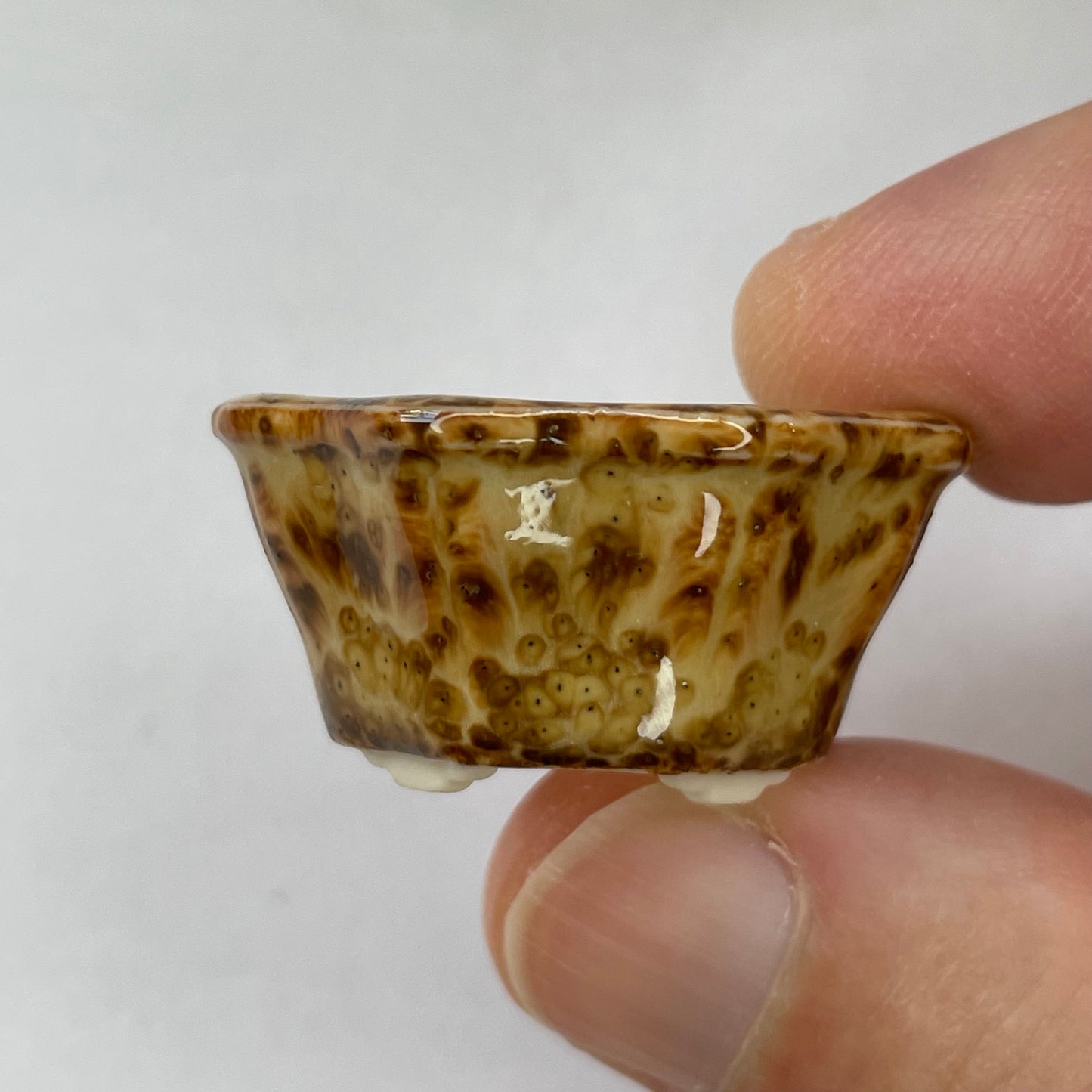 Tiny Flower-Shaped Mame Bonsai Pot in Leopard, Less than 1.25 inches wide