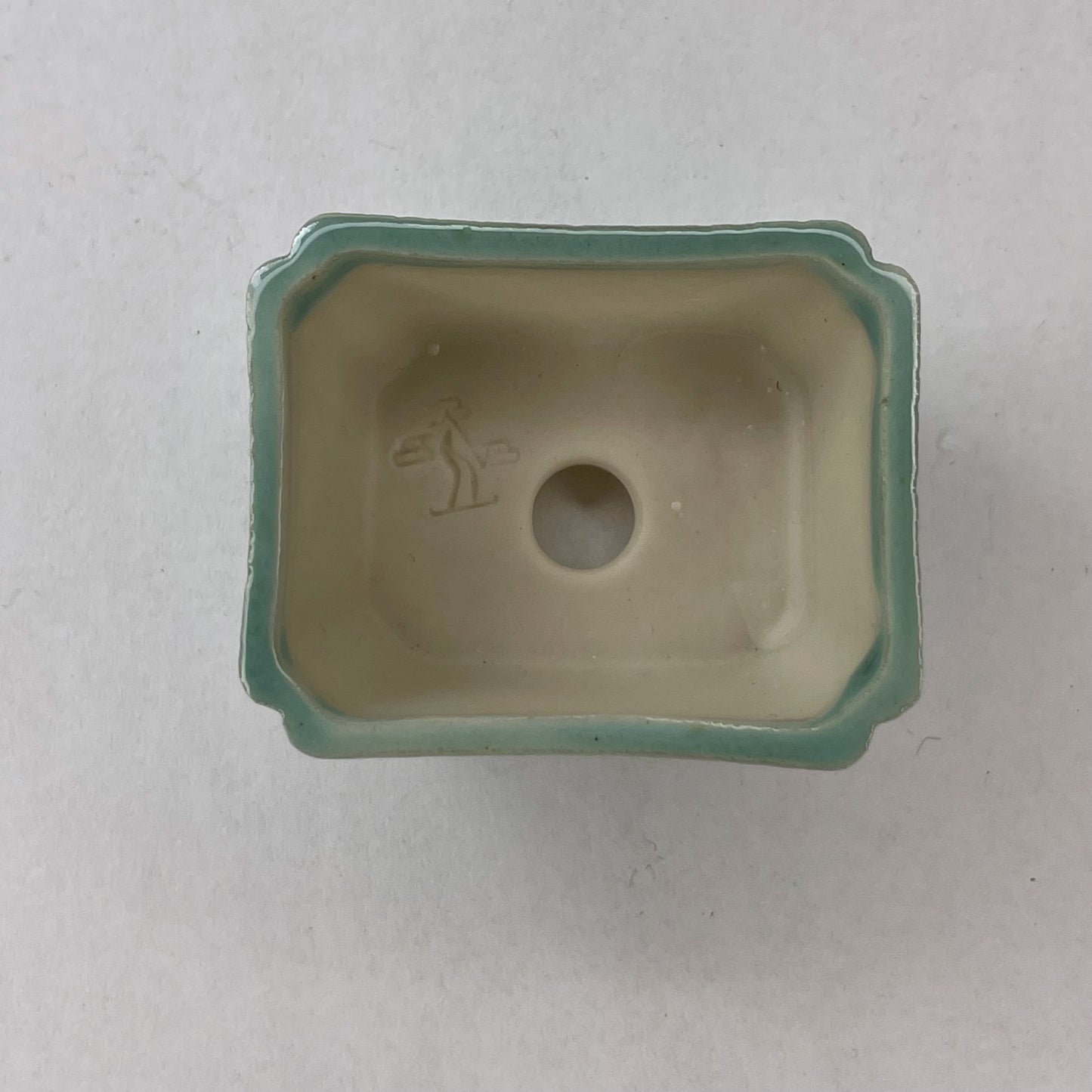 New! Tiny Rectangle Mame Bonsai Pot in Light Monstera, About 1.5 inches wide