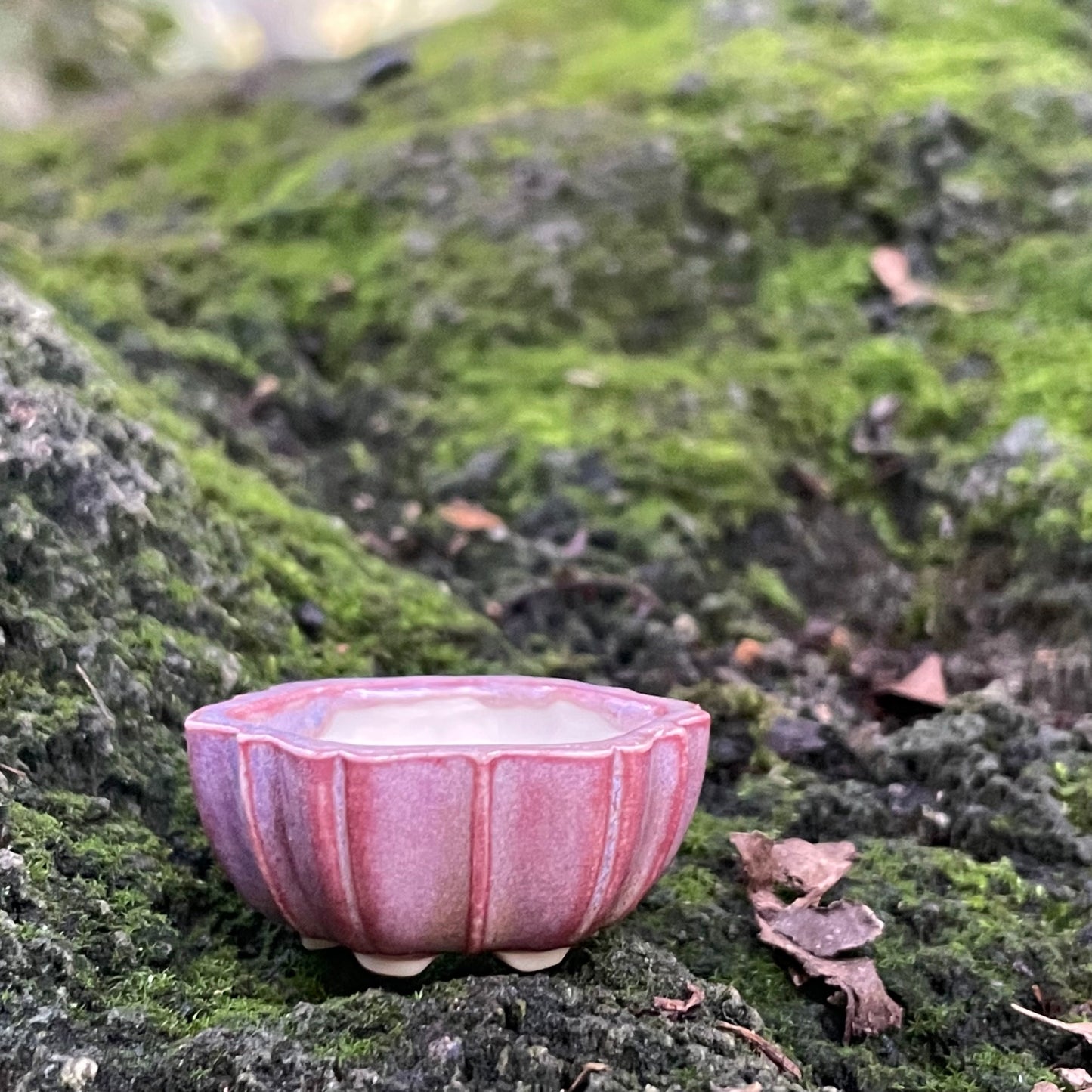 New! Tiny Flower-Shaped Mame Bonsai Pot in Rose, Less than 1.25 inches wide
