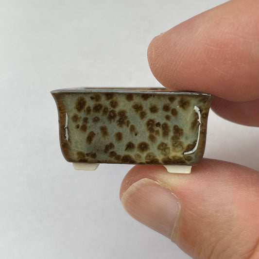 New! Tiny Rectangle Mame Bonsai Pot in Green Leopard, about 1.25 inches long, Handcrafted Miniature Pot