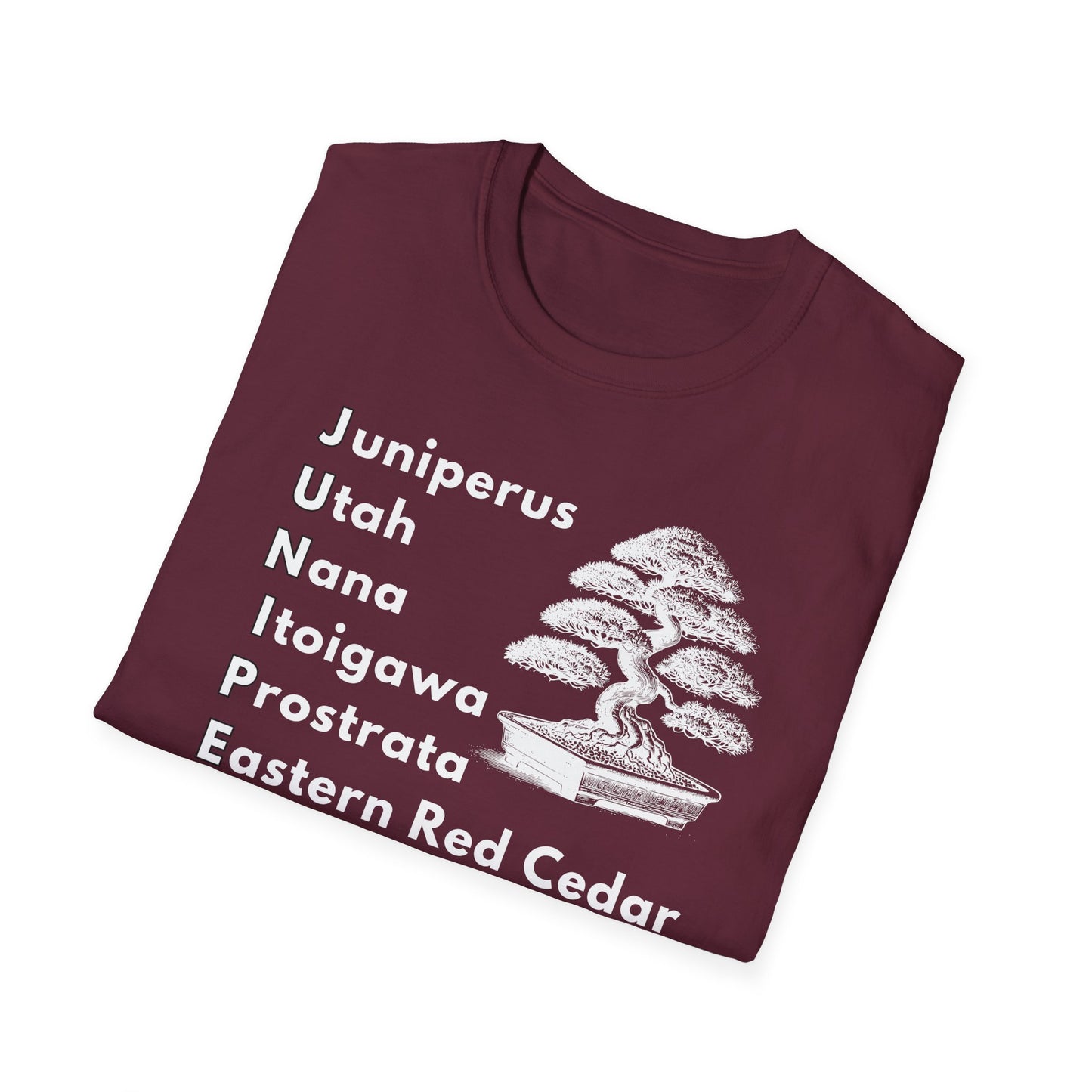 Tshirt: Juniper Bonsai Tree Varieties Tee, Juniperus Tree Types Softstyle T-Shirt, Bonsai Enthusiast Gift for Him, Bonsai Word Art Top, Itoigawa Tee