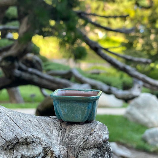 New! Tiny Square Mame Bonsai Pot in Turquoise Jade, About 1.5 inches wide