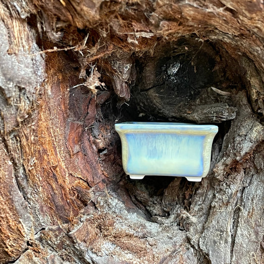 New! Tiny Rectangle Mame Bonsai Pot in Oyster Shell, Less than 1.25 inches wide
