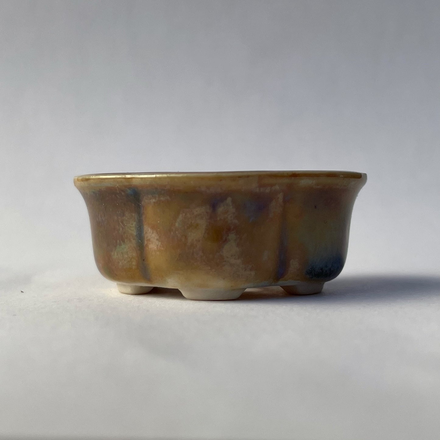 New! Tiny Rounded Oval Mame Bonsai Pot in Monet Champagne, About 1.5 inches long