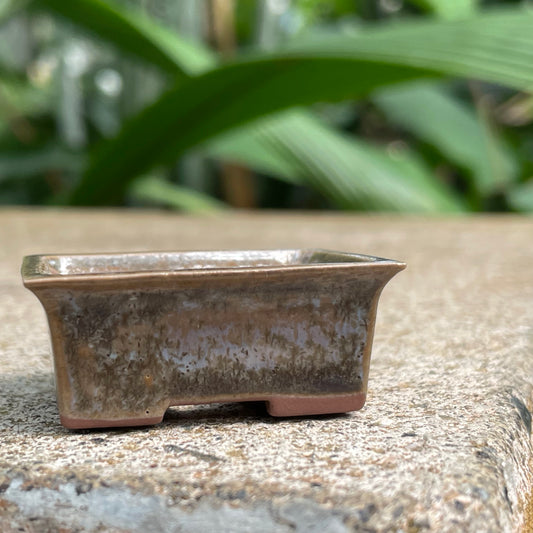 New! Tiny Rectangle Mame Bonsai Pot in Chocolate Ash, a little wider than 1.5 inches