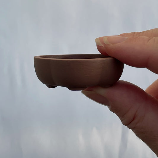 Tiny Rounded Oval Mame Bonsai Pot in Chocolate Porcelain, About 1.75 inches long
