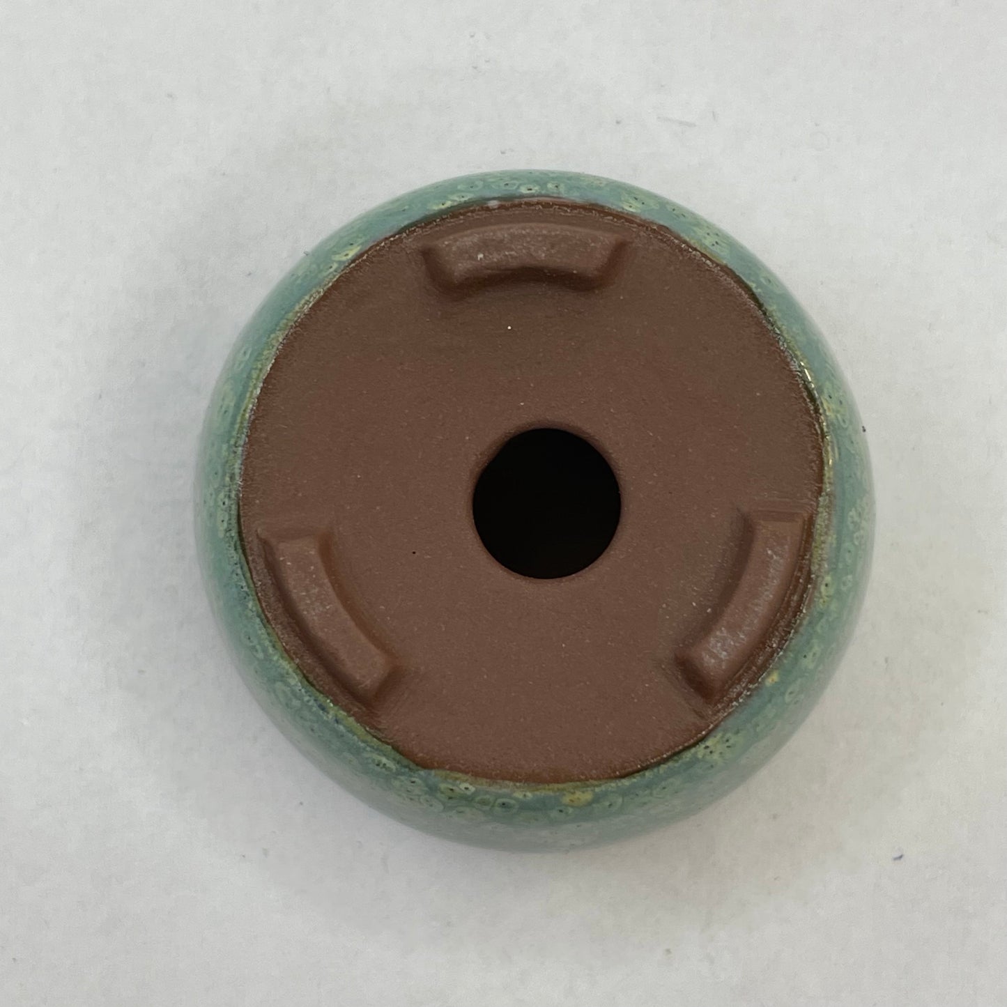 Tiny Round Mame Bonsai Pot in Chocolate Monstera Moss, Only 1.25 inches wide