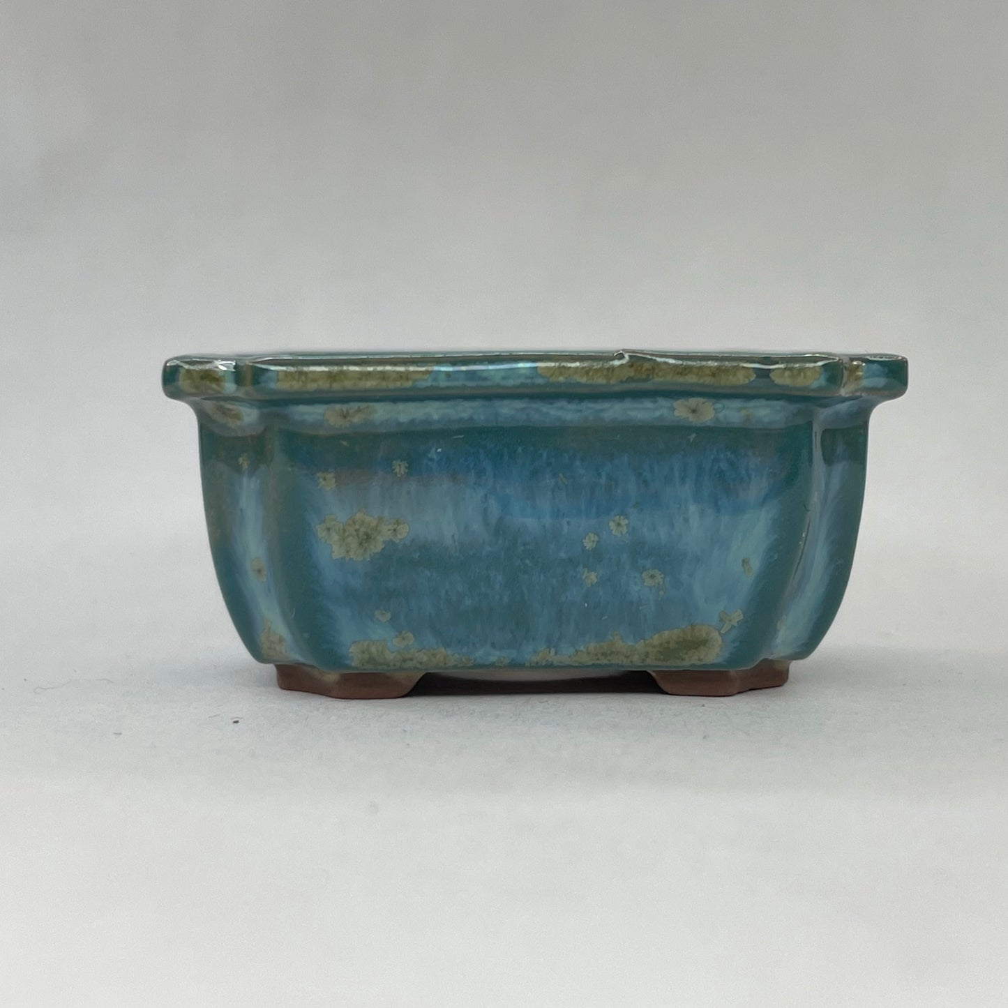 Tiny Scalloped Rectangle Mame Bonsai Pot in Turquoise Jade Chocolate, Only 1.5 inches long