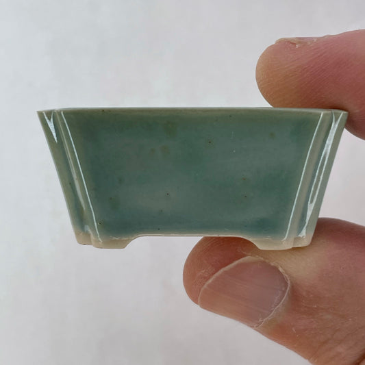 New! Tiny Rectangle Mame Bonsai Pot in Light Monstera, About 1.5 inches wide