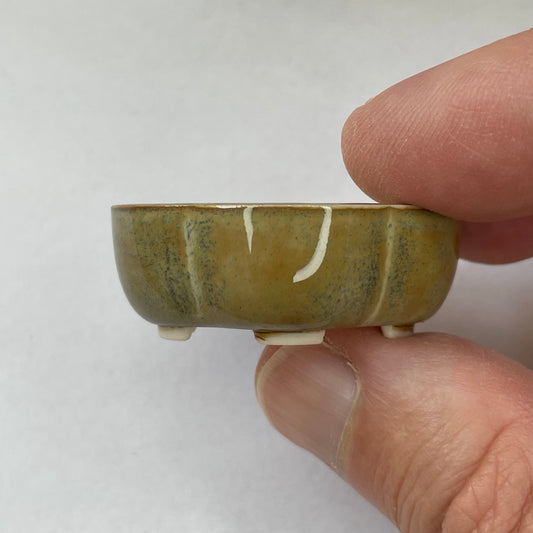 New! Tiny Rounded Oval Mame Bonsai Pot in Opal Luster, About 1.5 inches wide