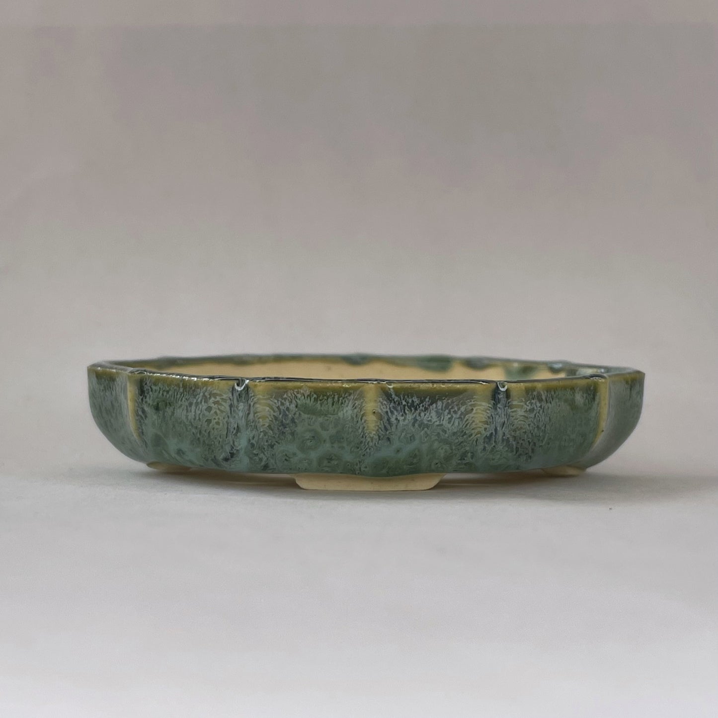 New! Tiny Shallow Decorative Mame Bonsai Pot in Monstera Moss, Less than 2.5 inches wide