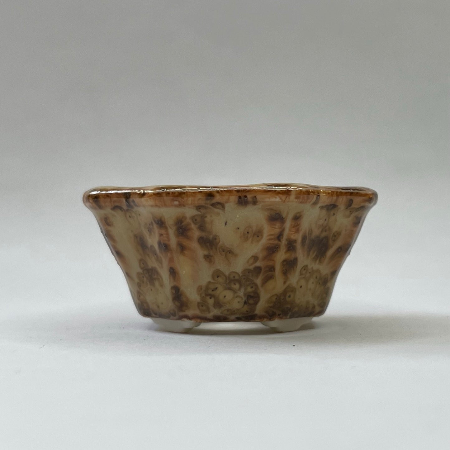 Tiny Flower-Shaped Mame Bonsai Pot in Leopard, Less than 1.25 inches wide