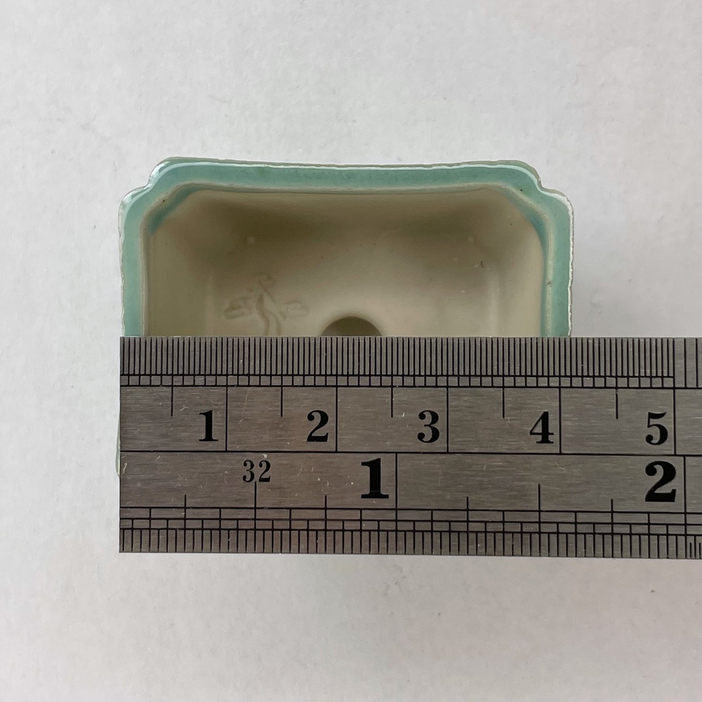 New! Tiny Rectangle Mame Bonsai Pot in Light Monstera, About 1.5 inches wide