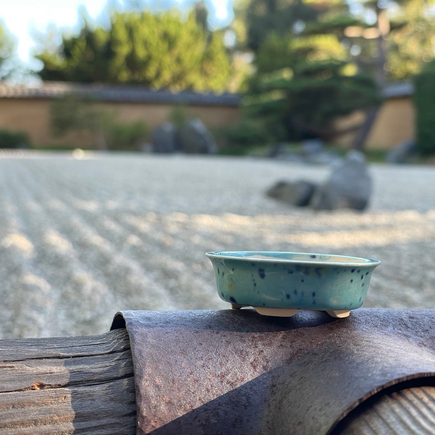 New! Tiny Oval Mame Bonsai Pot in Blue Caprice, A little less than 2 inches wide