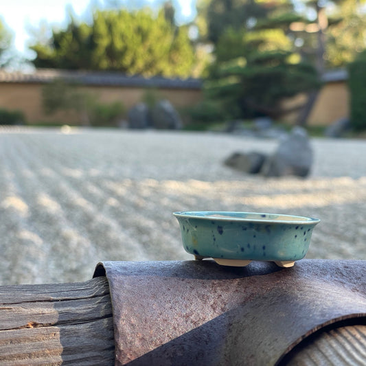 New! Tiny Oval Mame Bonsai Pot in Blue Caprice, A little less than 2 inches wide