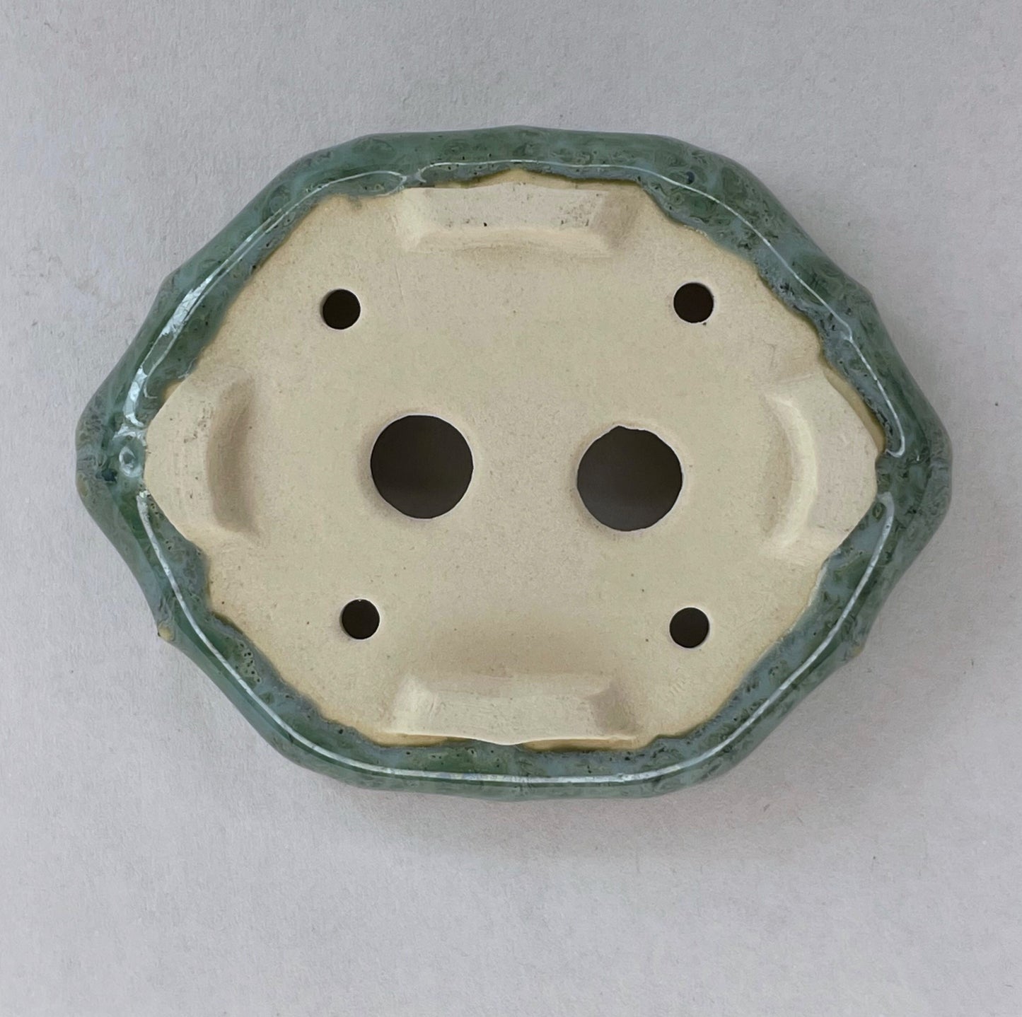 New! Tiny Shallow Decorative Mame Bonsai Pot in Monstera Moss, Less than 2.5 inches wide