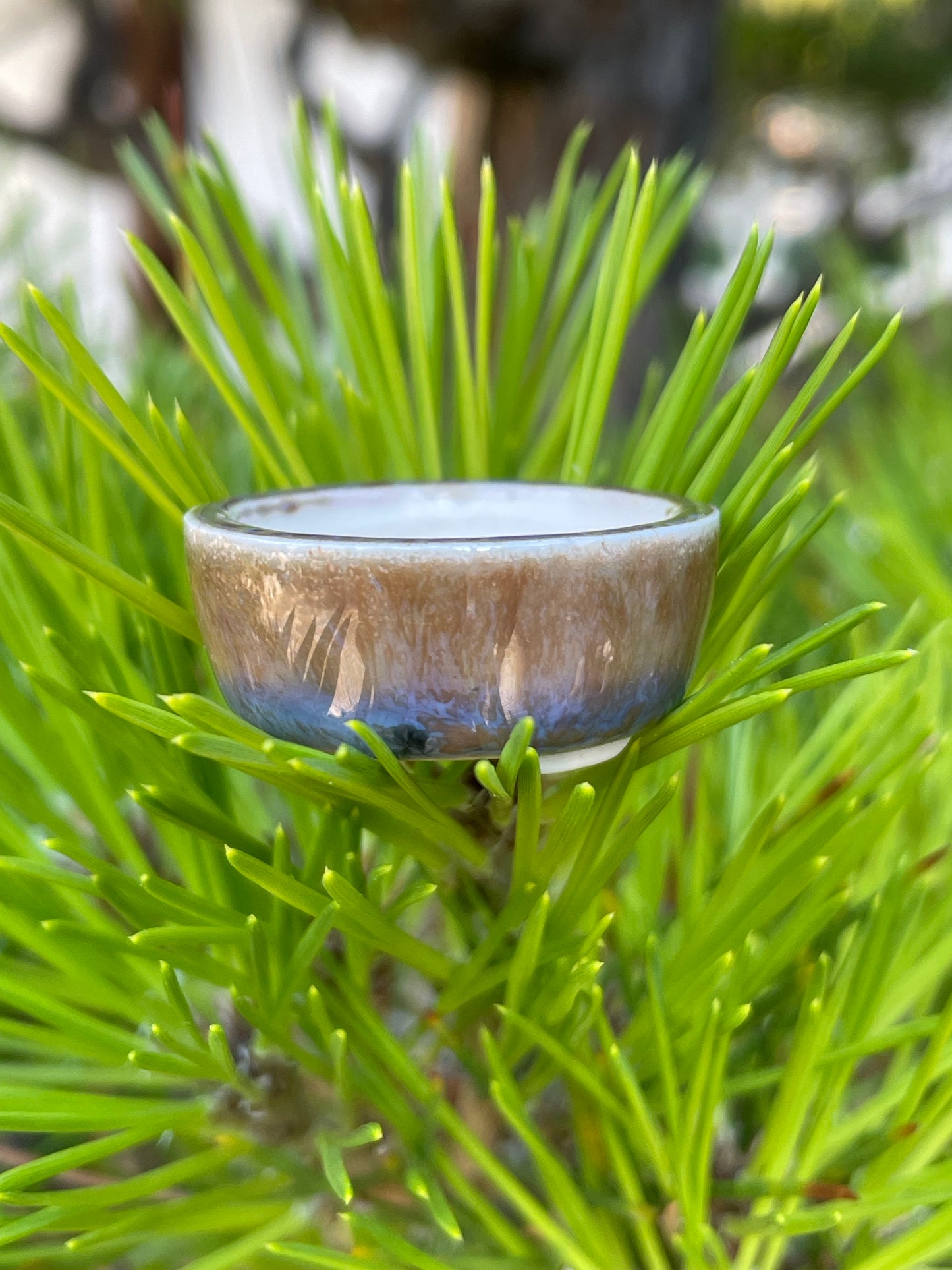 New! Tiny Round Mame Bonsai Pot in Plum Brown, Less than 1.25 inches wide
