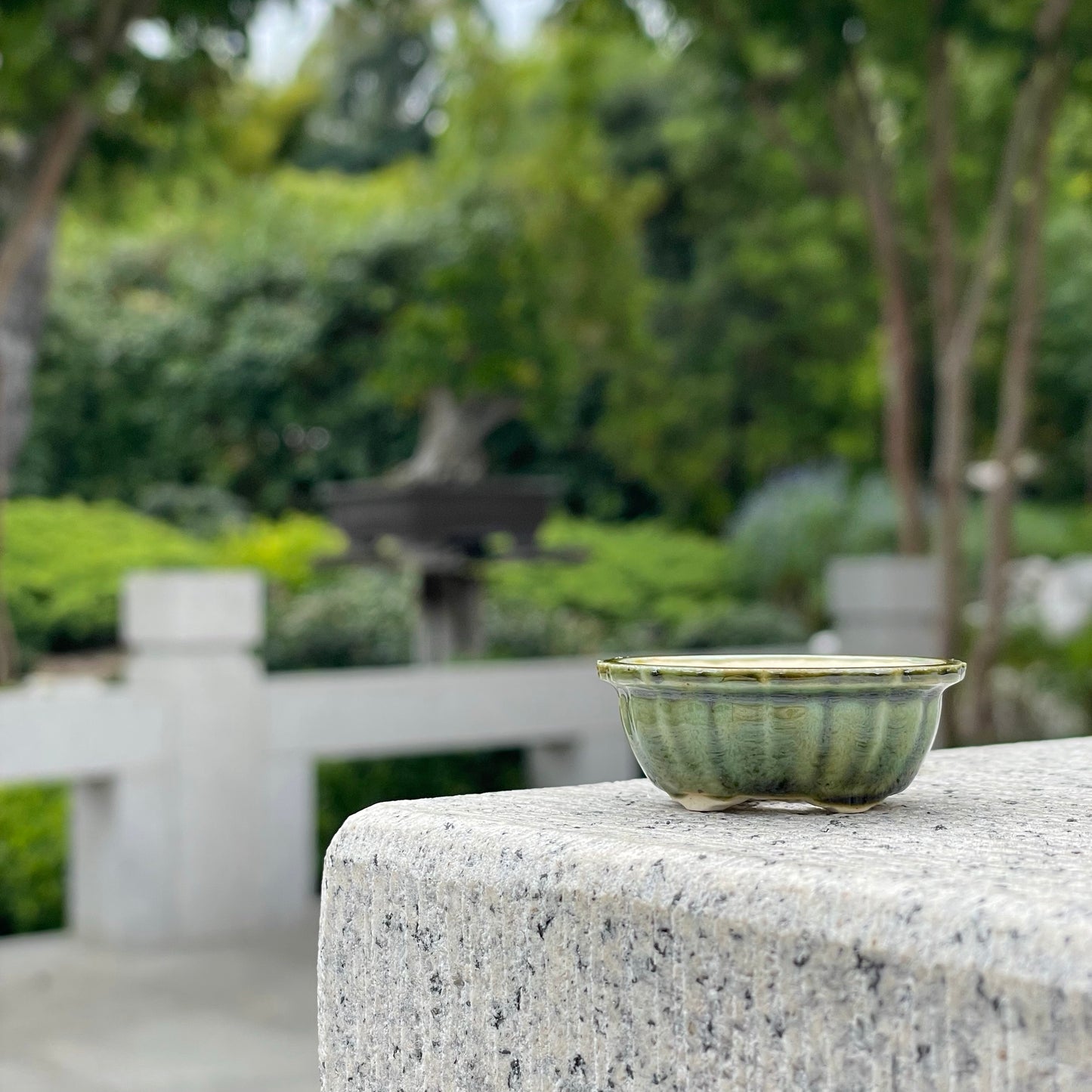 New! Tiny Scalloped Oval Mame Bonsai Pot in Pine Green, About 1.5 inches wide
