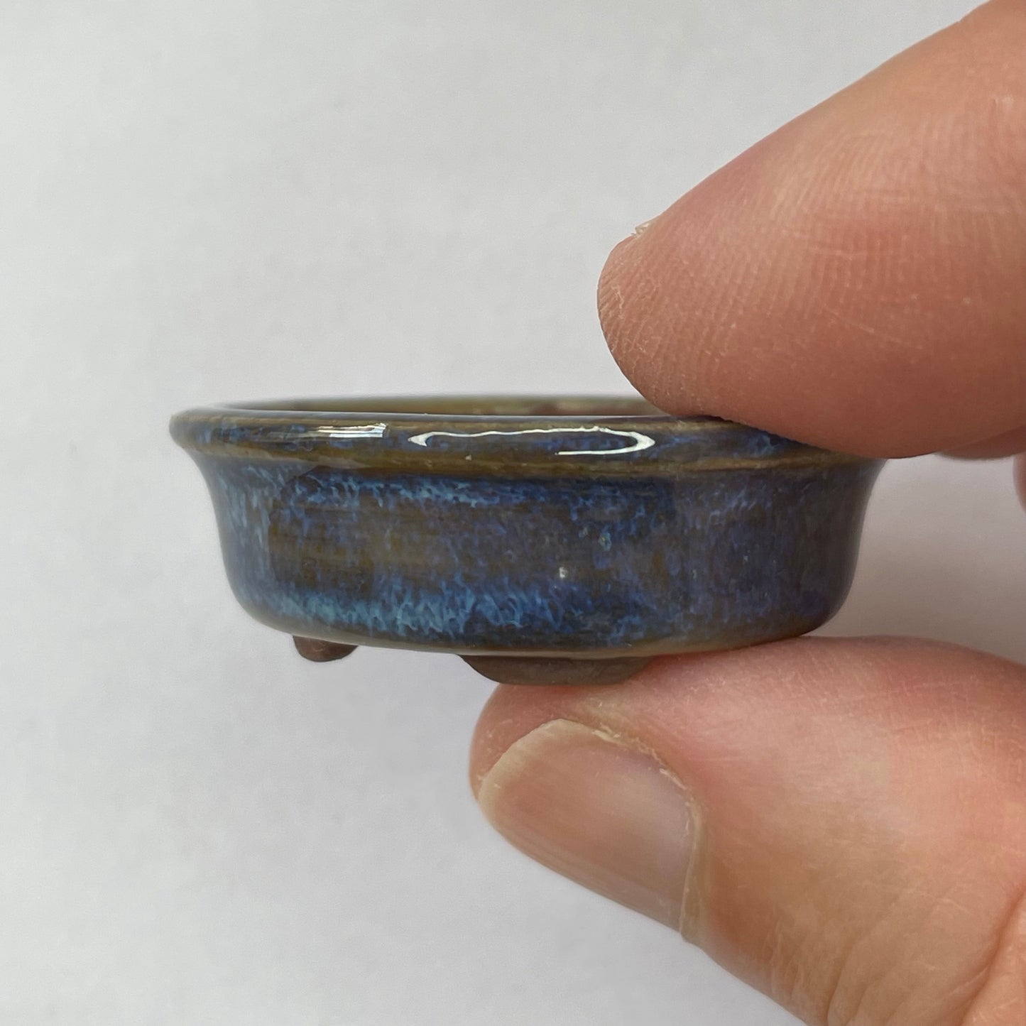 New! Tiny Oval Mame Bonsai Pot in Chocolate Porcelain with a Blue Glaze, About 1.5 inches long