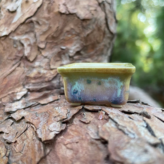 New! Tiny Rectangle Mame Bonsai Pot in Jade Aster, Less than 1.25 inches wide