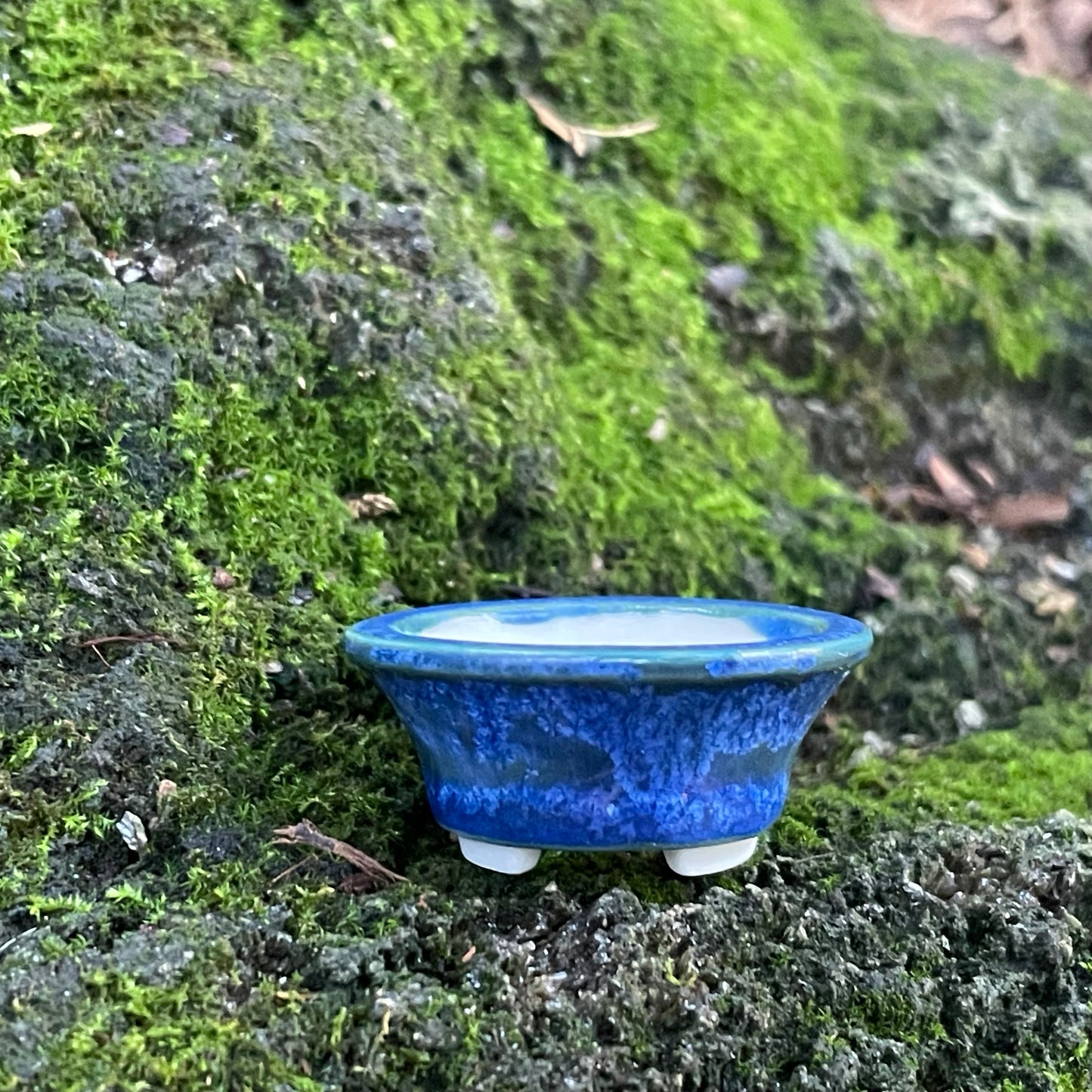 New! Tiny Flared Round Mame Bonsai Pot in Teal Blue Surf, Less than 1.5 inches wide