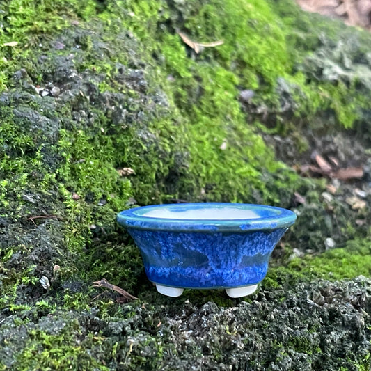 New! Tiny Flared Round Mame Bonsai Pot in Teal Blue Surf, Less than 1.5 inches wide