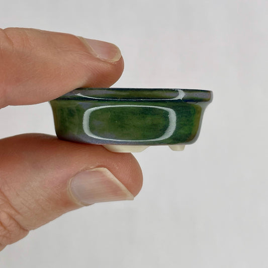 New! Tiny Oval Mame Bonsai Pot in White Porcelain with a Green Fog Glaze, About 1.5 inches long