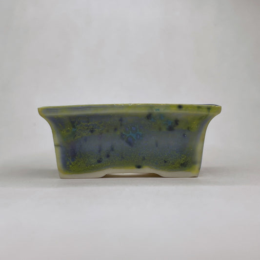 New! Tiny Rectangle Mame Bonsai Pot in Mardi Gras Moss, Only 1.5 inches wide