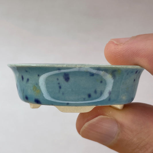New! Tiny Oval Mame Bonsai Pot in Blue Caprice, A little less than 2 inches wide