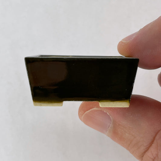 New! Tiny Rectangle Mame Bonsai Pot in Olive, Less than 1.5 inches long