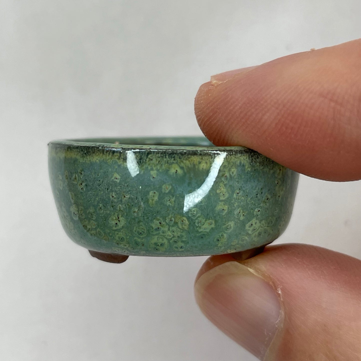 Tiny Round Mame Bonsai Pot in Chocolate Monstera Moss, Only 1.25 inches wide
