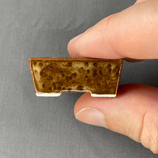 New! Tiny Rectangle Mame Bonsai Pot in Leopard, Less than 1.5 inches long